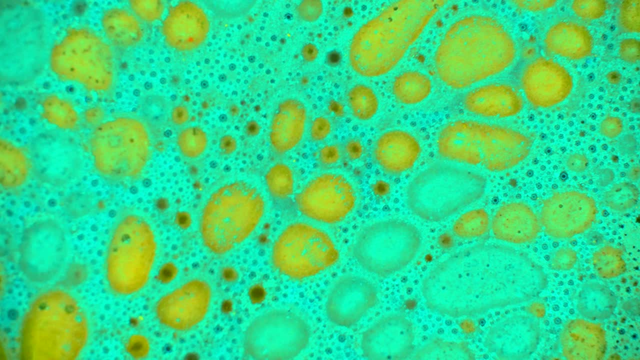 el rizado de las pinturas