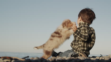 two years old, the kid plays on the beach, a small puppy sticks to him with games, tries to lick and kiss the boy