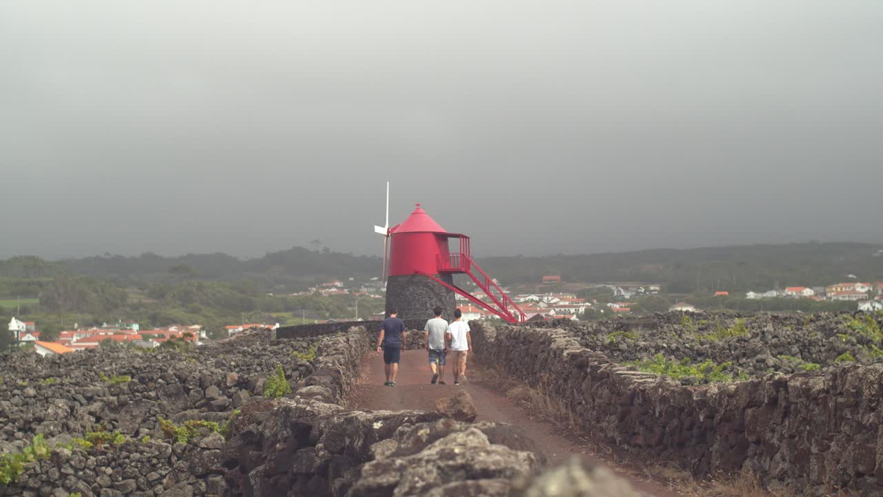 관광객들과 피코 섬 풍차
