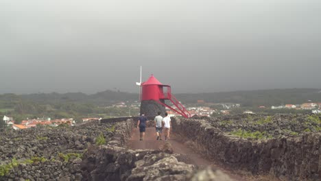 Insel-Pico-Windmühle-Mit-Touristen