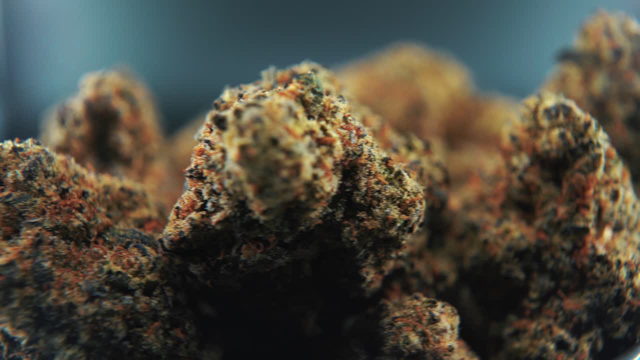 A close-up macro cinematic detailed shot of a cannabis plant, orange hybrid strains, Indica and sativa, dark marijuana flower, on a rotating stand, slow motion, 4K, professional studio lighting