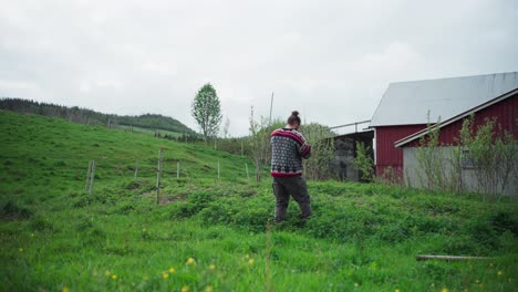 man pulling out fence posts from field. wide