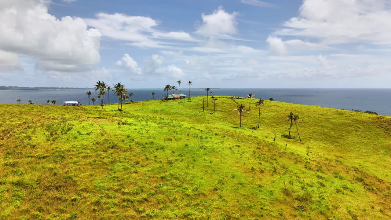 Drone view of Corregidor Island, Siargao Islands, Philippines shows grassy hills, sparse palm trees, and a rustic hut under a bright sky with views of the Pacific Ocean