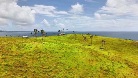 drone view of corregidor island, siargao islands, philippines shows grassy hills, sparse palm trees, and a rustic hut under a bright sky with views of the pacific ocean