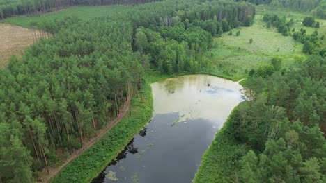 See-Lagune-Wasser-Wald-Grün-Landschaft-Luft-Boom-Dolly-Hoher-Winkel