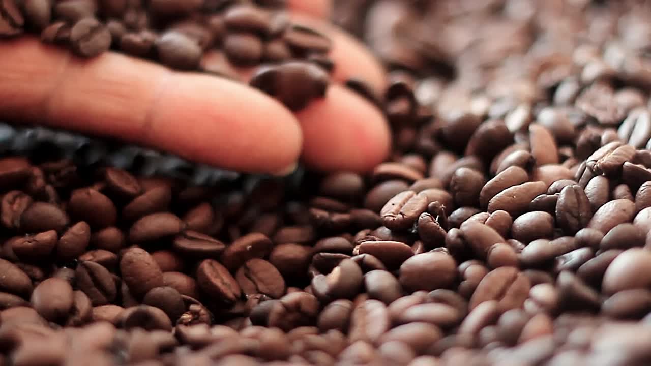 caffè, premium, chicchi di caffè arabica, texture ricca, tostatura scura, superficie lucida, senza persone, filmato di repertorio, video di repertorio
