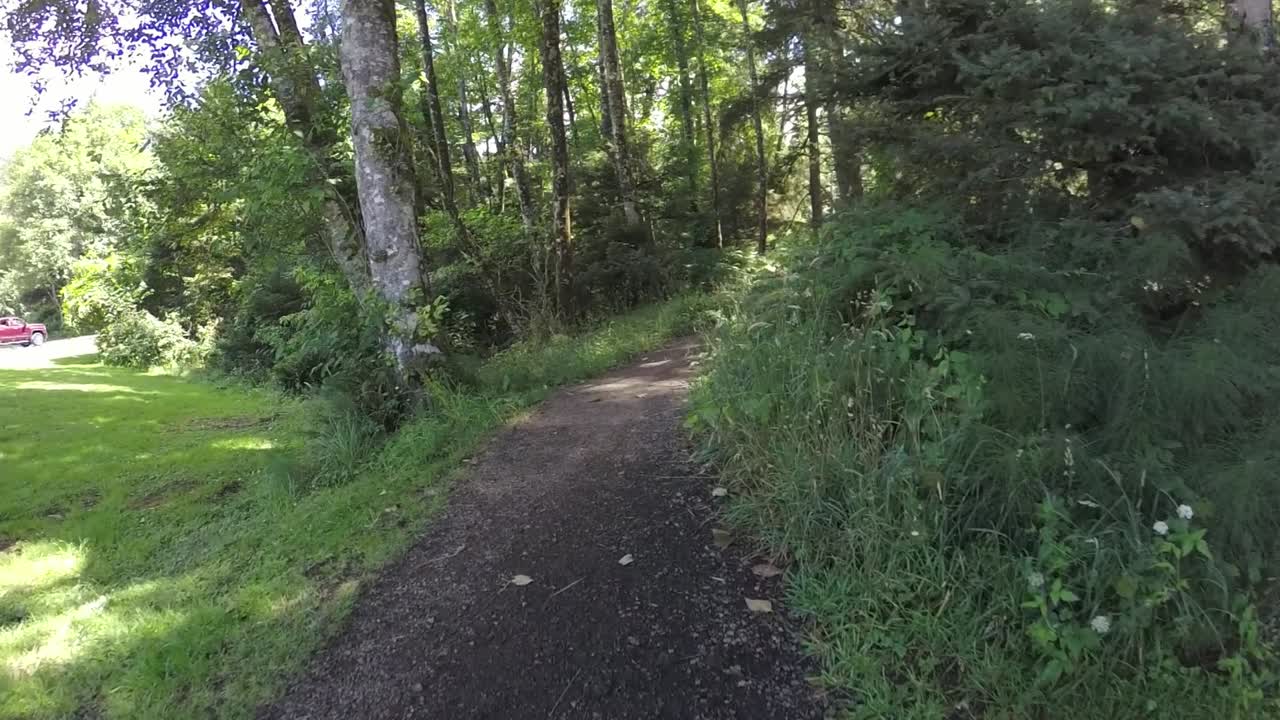 Following the beach access path into  a forest slow motion