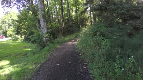 following the beach access path into  a forest slow motion