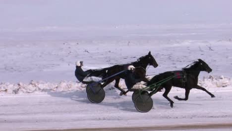 derby de carreras de caballos en invierno