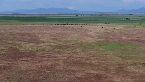 flying over the farmlands of southern utah