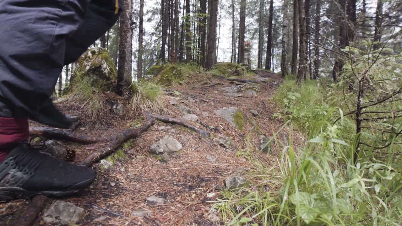 caminar por el bosque.