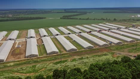 premises of the poultry farm. complex of white buildings poultry farm from a height