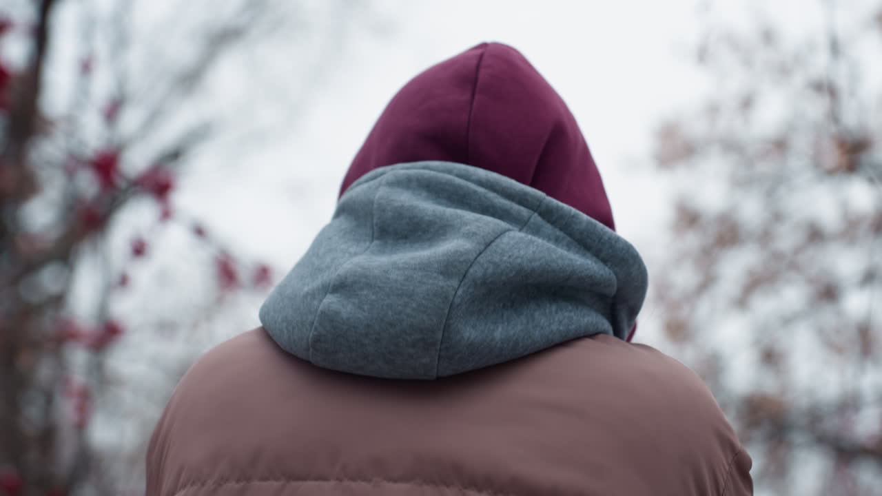 vista trasera de una persona vestida con ropa cálida de invierno caminando en clima frío, chaqueta con capucha y gorra proporcionan calor contra el entorno frío, ramas de árboles borrosas con follaje de invierno