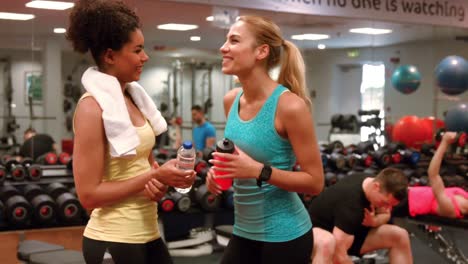 Fitte-Frauen-Unterhalten-Sich-Im-Fitnessstudio