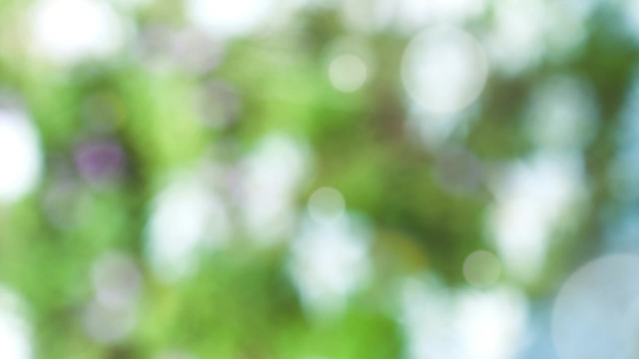 fondo de resorte abstracto con bokeh