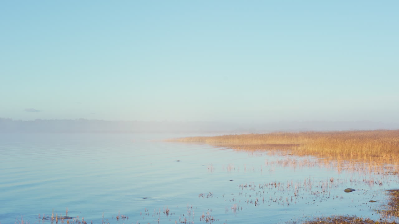 туманный утренний восход на берегу моря. осеннее морозное утро