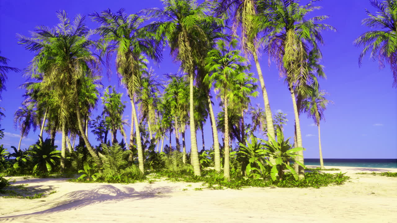 Lush tropical landscape with palm trees and clear blue sky by the beach