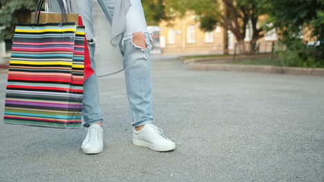 Woman Shopping on the Street