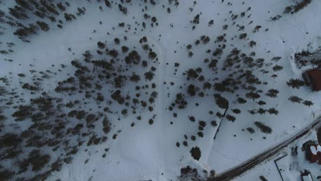 Disparo-De-Arriba-Hacia-Abajo-Sobre-Un-Paisaje-Nevado,-Los-árboles-Y-Las-Casas-En-El-Suelo-Invernal,-Un-Lugar-Idílico-Para-Vivir