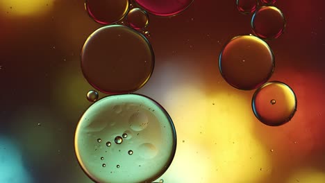 abstract colorful food oil drops bubbles and spheres flowing