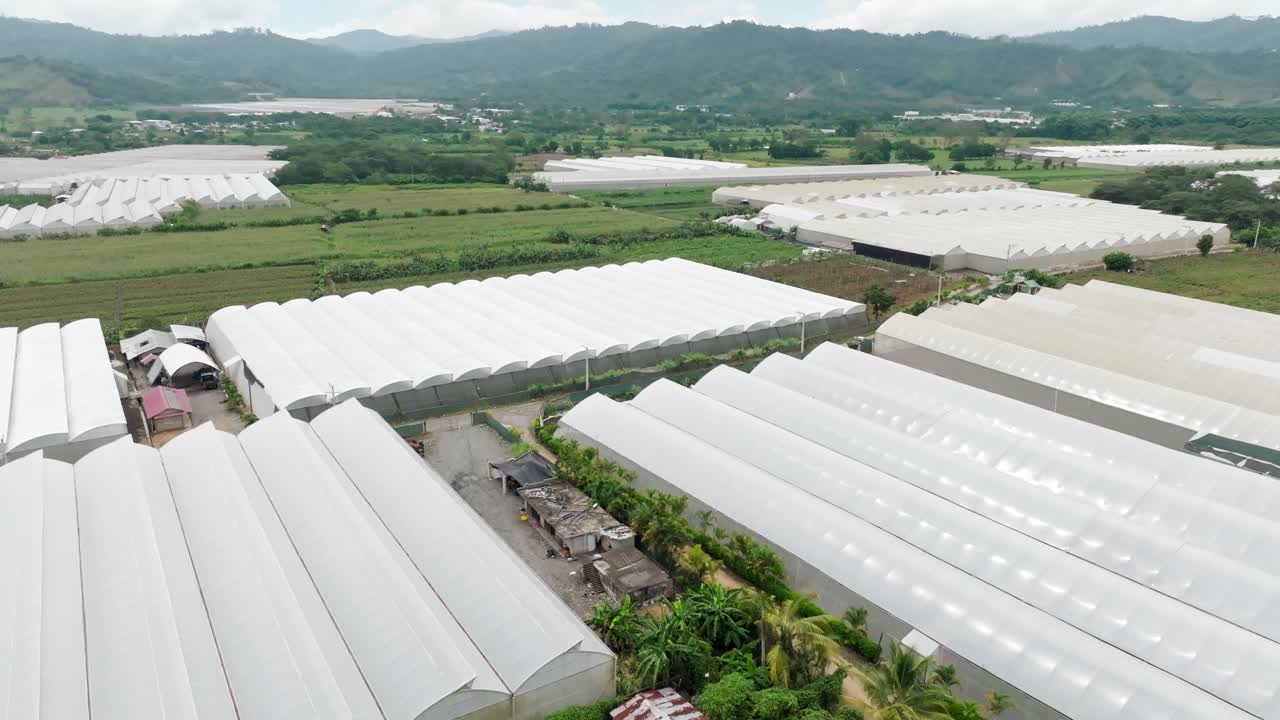 Large commercial greenhouses in rural valley, modern agricultural technology, Rancho Arriba, San José de Ocoa, Dominican Republic. Aerial forward