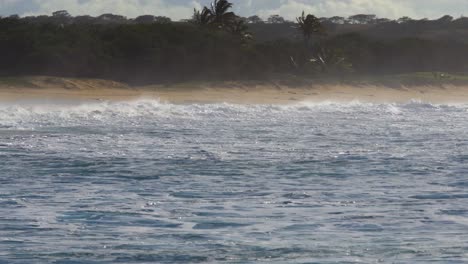 las olas azules llegan a la costa de hawaii y rompen en la orilla 9