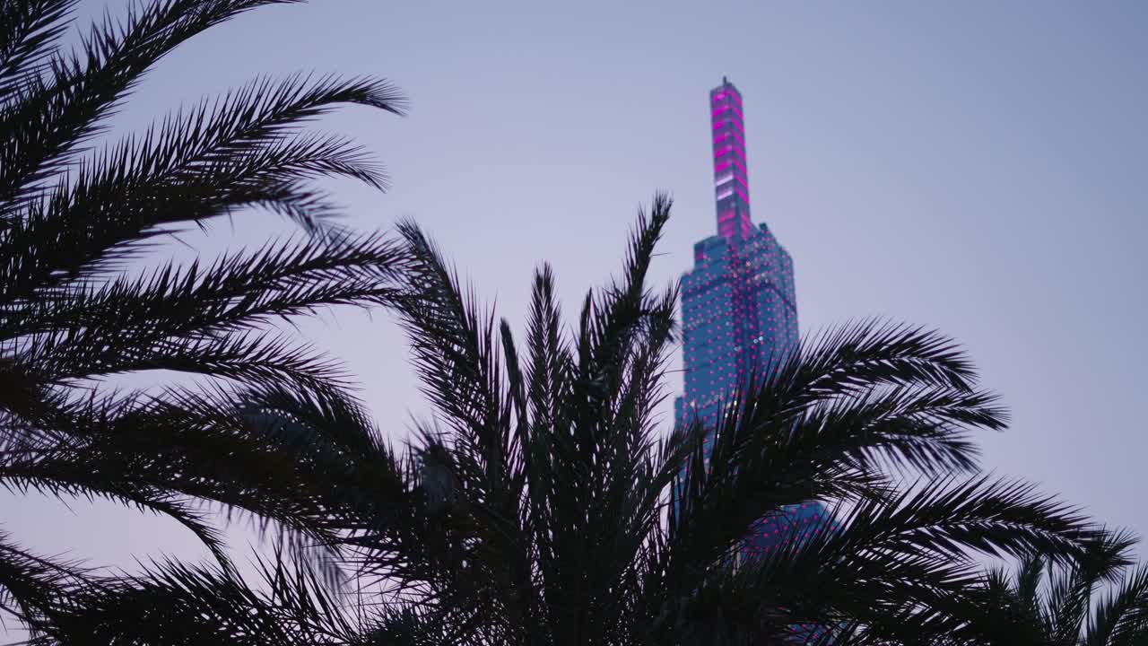 High-rise building at dusk with palm trees in the foreground
