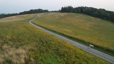 woman and white labrador lab dog walk through field of flowers