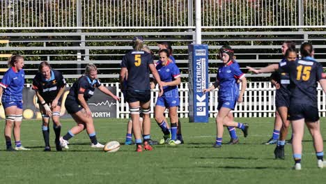jugadores participan en un juego de rugby competitivo