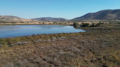 Lago-Africano-En-Rustenburg,-En-El-Noroeste-De-Sudáfrica.