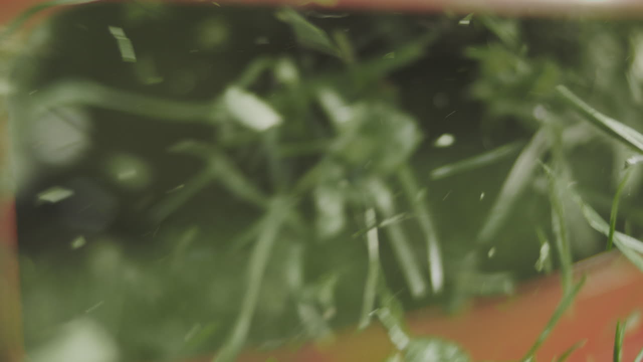 cortar verduras frescas para un plato