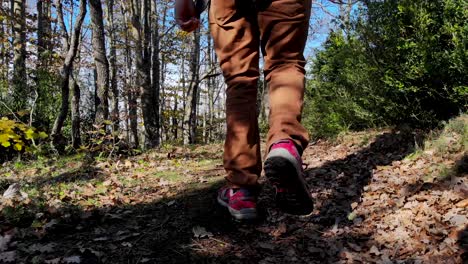 person hiking on a forest trail in autumn