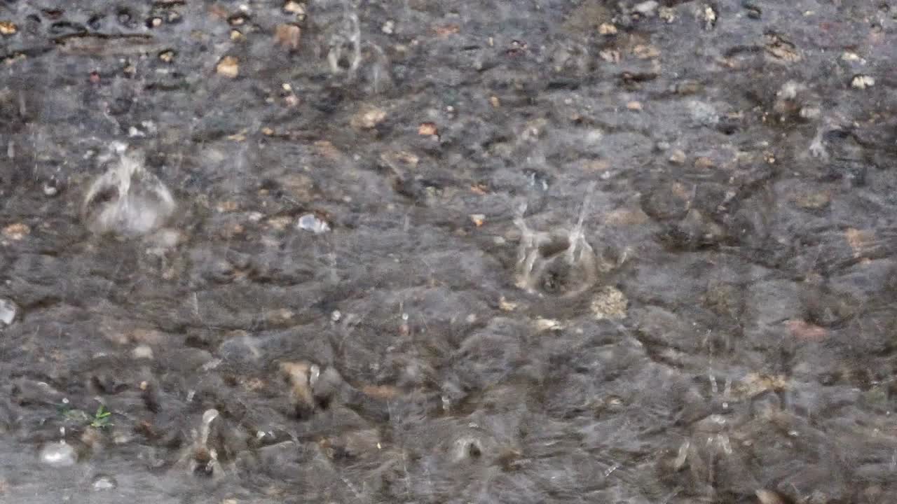 Rain drops falling on asphalt pavement