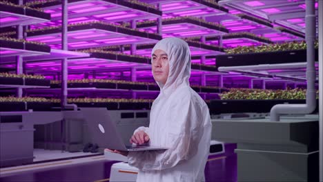 side view of asian male scientist typing on a laptop and looking around in vertical farm