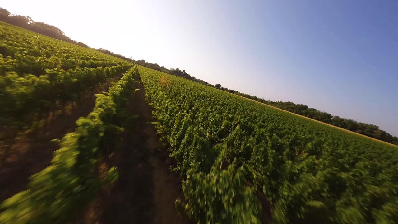 The drone is flying over a field with green vegetation