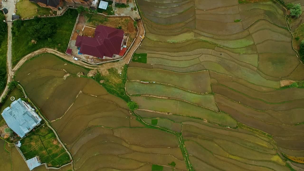 Aerial View of Rice Paddies and Houses in a Mountainous Village