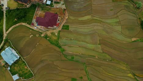 aerial view of rice paddies and houses in a mountainous village