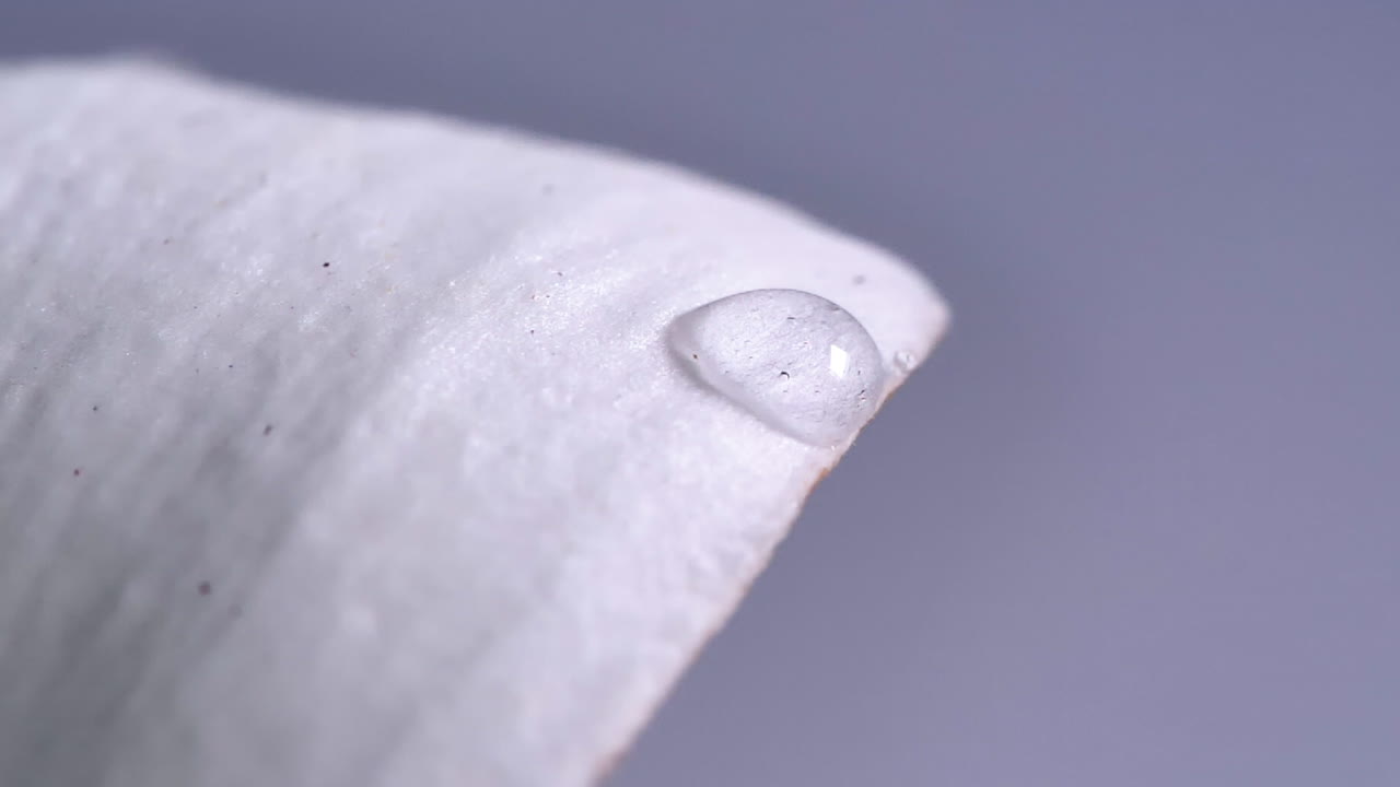 슬로우 모션으로 흰 꽃의 꽃잎에 있는 다른 물방울에 물방울이 떨어집니다.