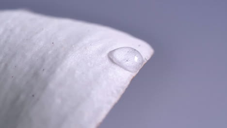 water droplet drops into the another droplet on the white flower's petal in slow-motion