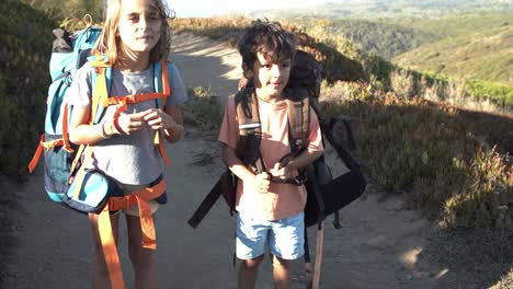 sibling kids walking on mountain path