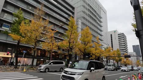 vehicles moving through a city street with autumn trees.