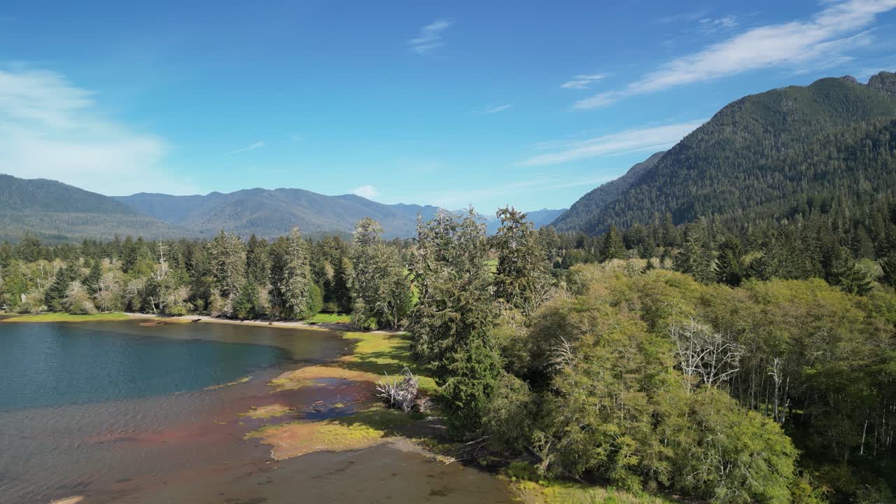 Aerial drone view of a peaceful lake surrounded by lush trees and distant mountains under a clear blue sky