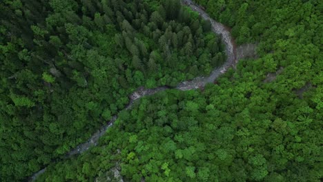 Green-Lush-Valleys-With-River-Flowing-Near-Lepsa,-Vrancea-County,-Romania