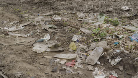 panning shot shows plastic waste in forest polluting natural beauty