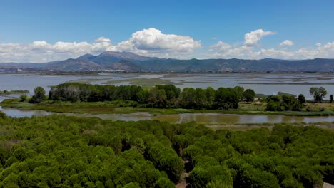 natural lagoon with shallow water and dense trees forest on a summer day with white clouds over the mountains in kune, albania