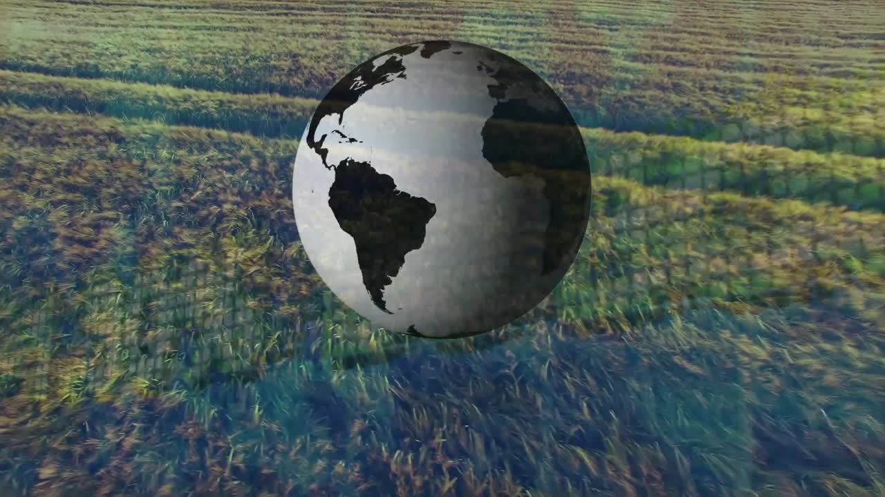 анимация глобальной и финансовой обработки данных по сельскому хозяйству