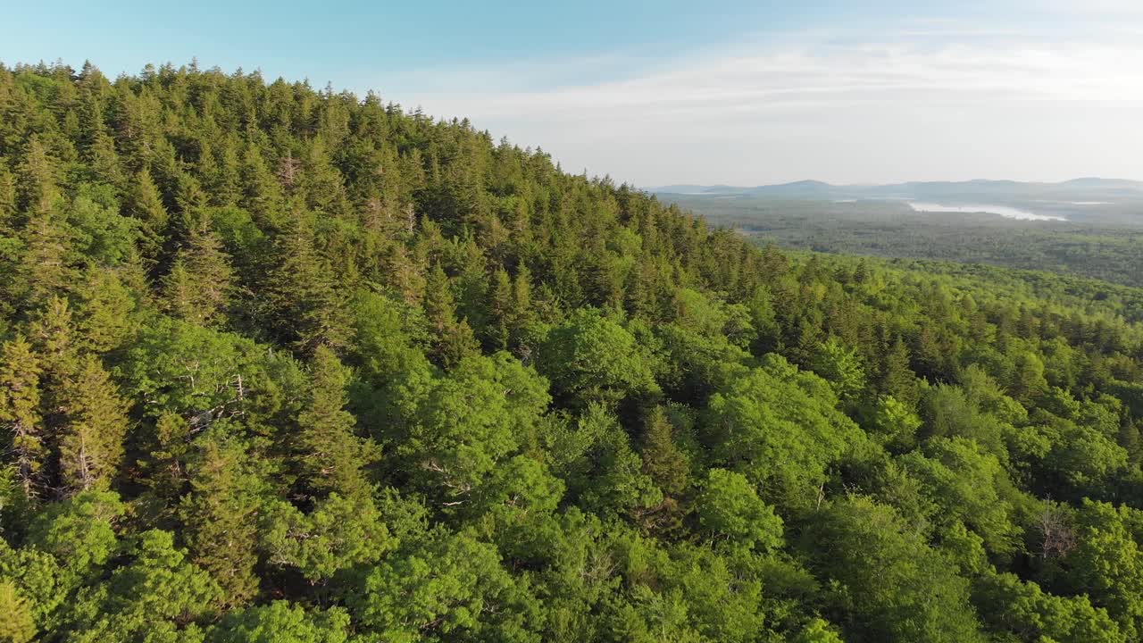 Ripresa aerea con drone di una foresta nel Maine, Stati Uniti d'America.