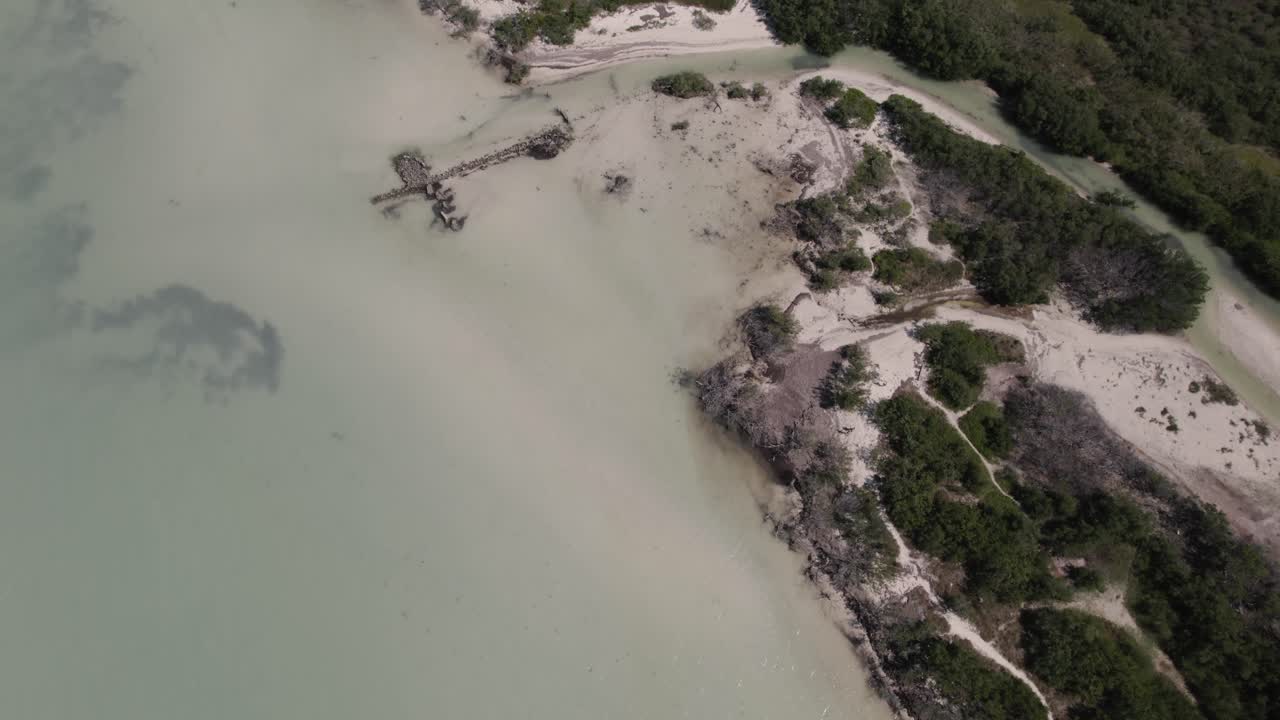 멕시코 바깔라르에 있는 무성한 초목과 호수의 하향식 전망 - 공중 드론 샷