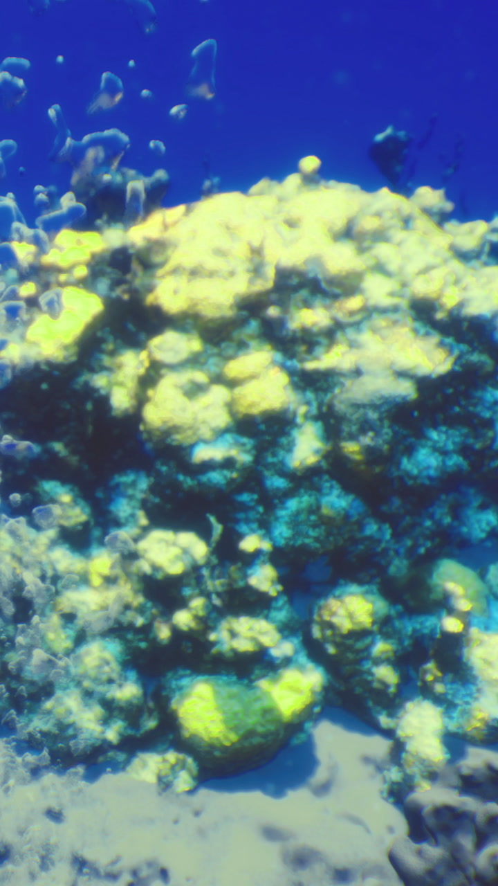 Colorful coral reef teeming with life in crystal clear ocean waters