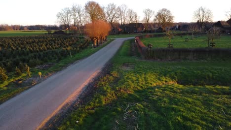 car alpha romeo driving fast past drone on country roads